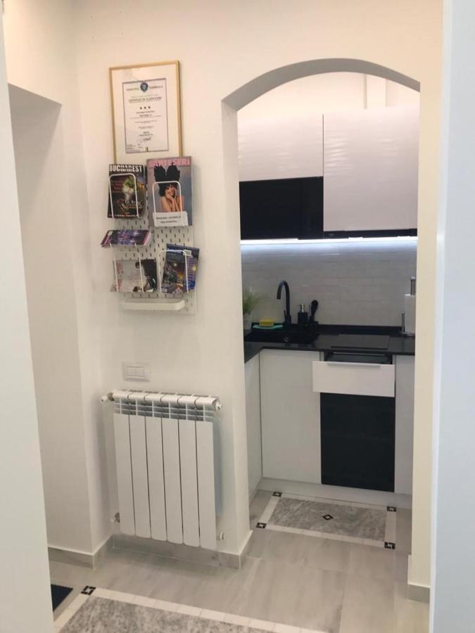 Victoria Luxury Apartment 11 ブカレスト エクステリア 写真